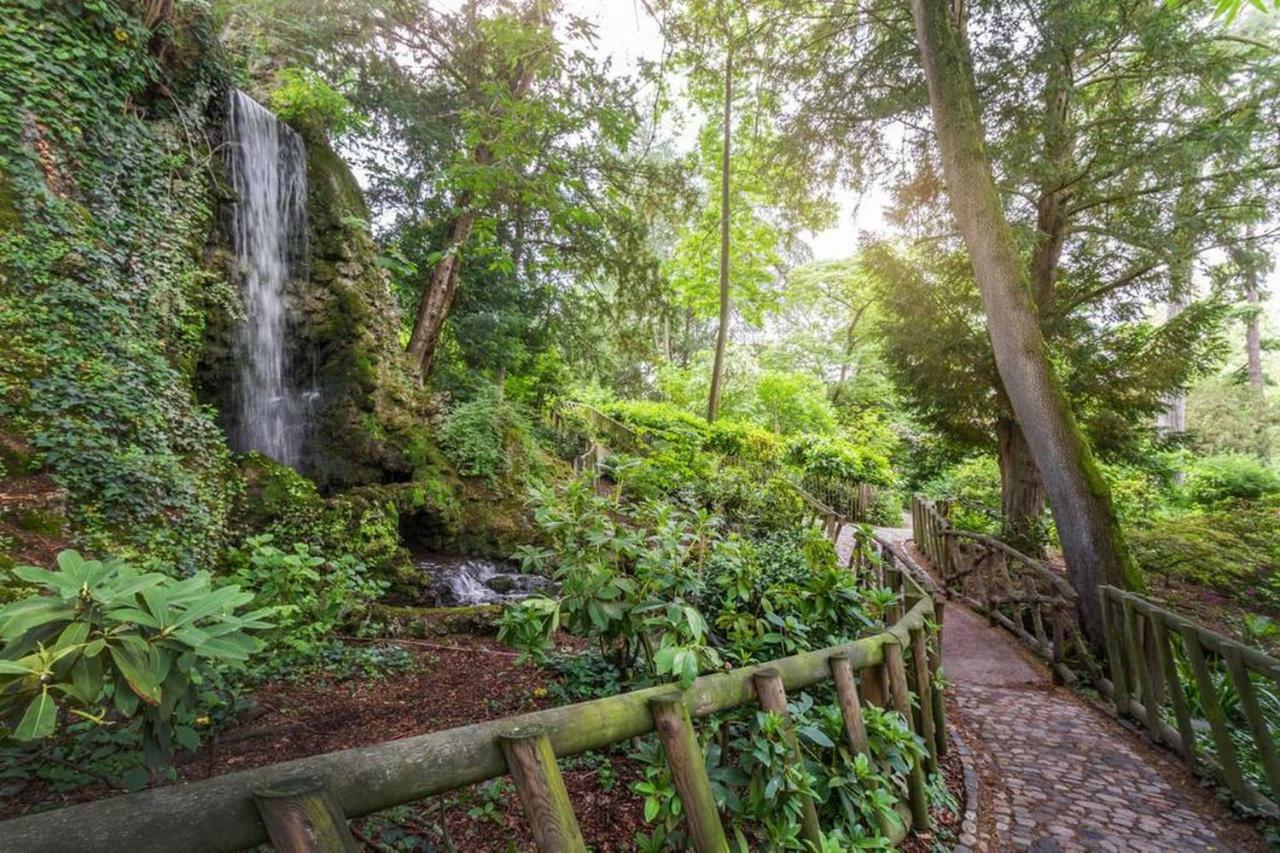 Calme Appart Renove Jardin Des Plantes Busca 툴루즈 외부 사진